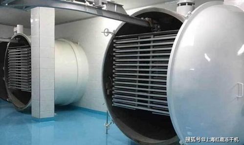 凍干食品市場分析及食品凍干生產設備發展趨勢與光伏設備及元器件銷售的關聯